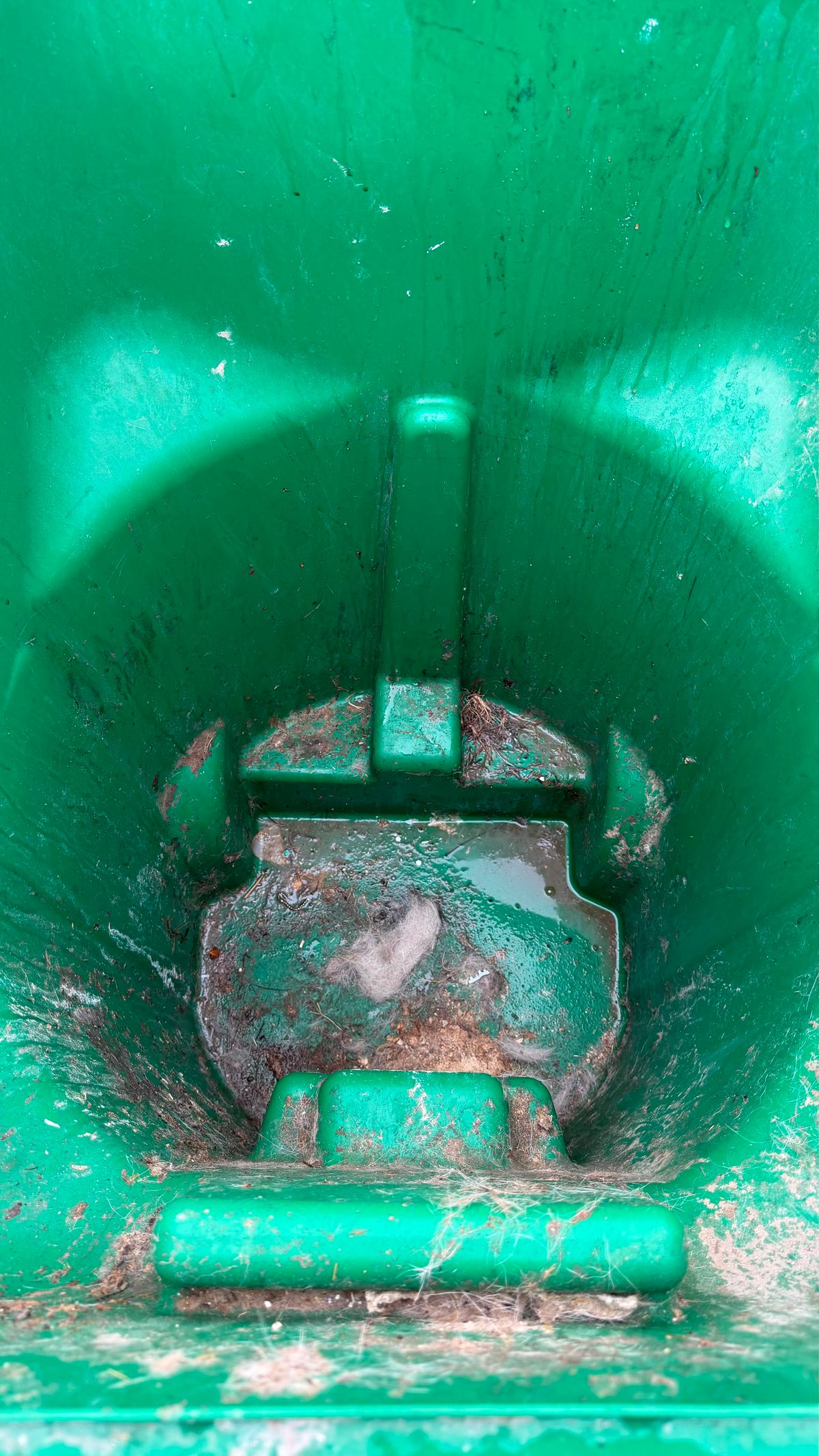 Green trash bin covered in grime before professional cleaning